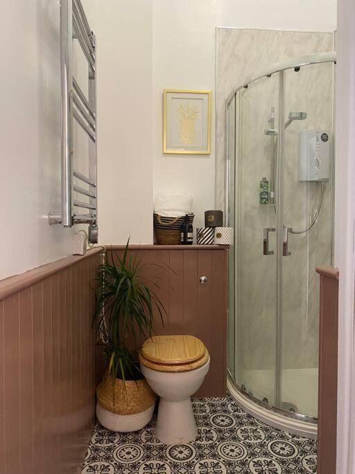 Fabulous Flat In Durnford Street Lejlighed Plymouth Eksteriør billede